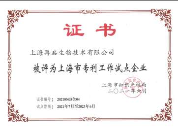Patent