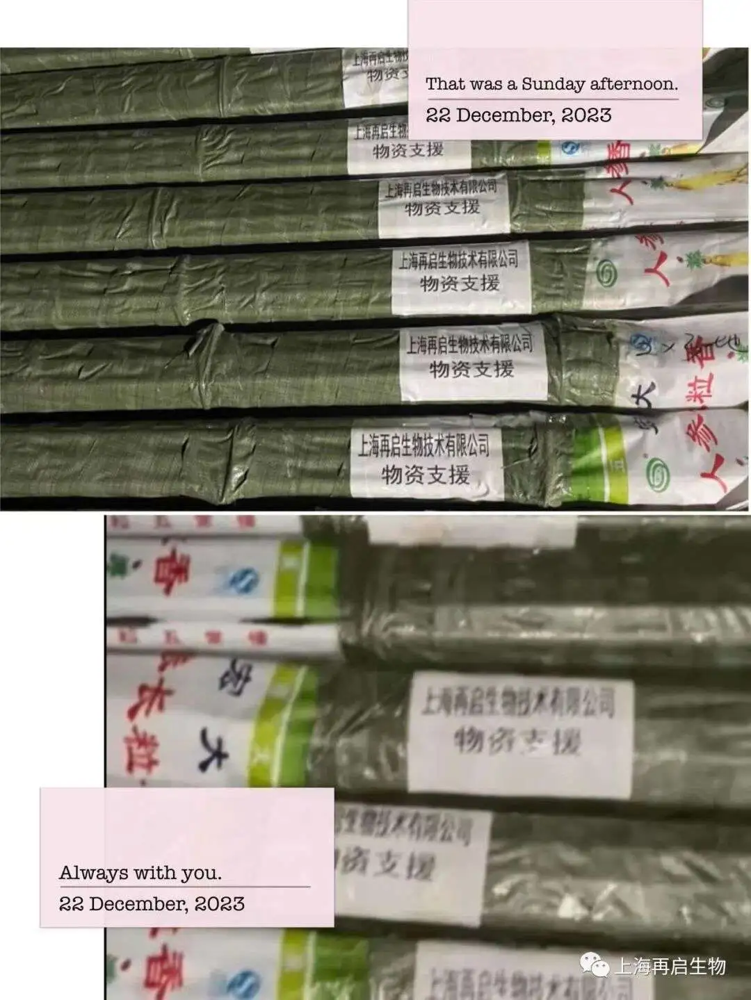 再启生物捐助甘肃临夏州积石山县帐篷100套